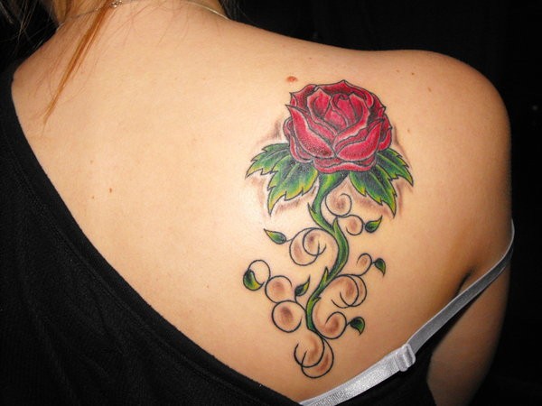 Simply Inked Rose Tattoo Designs Desogner Tattoos for All Beautiful Rose   Butterfly Semi Permanent Tattoo  Amazonin Beauty
