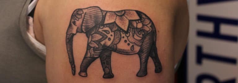 elephant tattoo designs