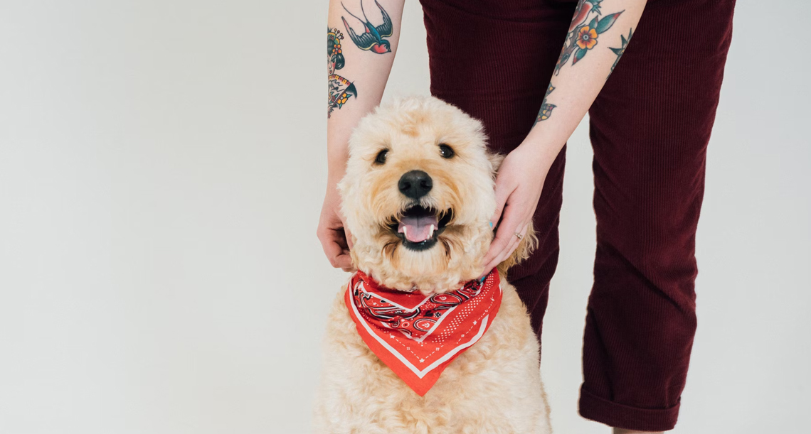 pet Tattoos Pet Woof Tattoos
